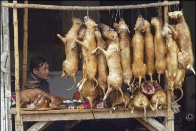 Kínában még mindig nem tilos a kutyahús értékesítés