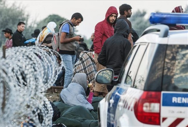 MIGRÁNSOK FOSZTOGATNAK A HATÁR MENTÉN!