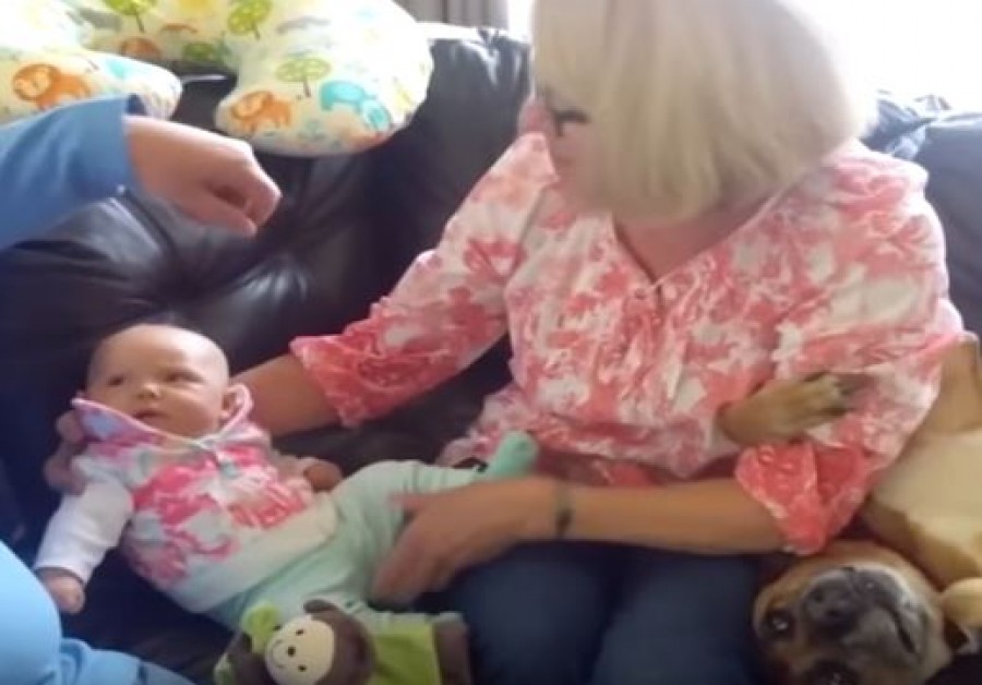 A kutya féltékeny volt  a kisbabára. Nem fogsz hinni  a szemednek, mit csinált! (videó)